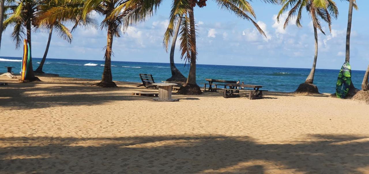 Puntacana Ecolodge Lavacama Beach Costa Arrecife By Aa Crypto Group プンタ・カナ エクステリア 写真