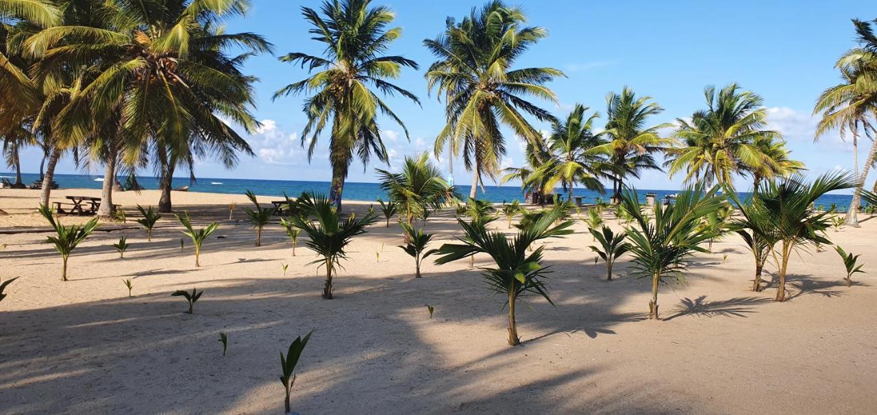 Puntacana Ecolodge Lavacama Beach Costa Arrecife By Aa Crypto Group プンタ・カナ エクステリア 写真