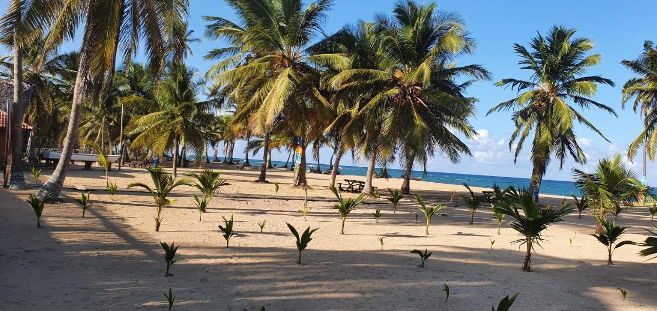 Puntacana Ecolodge Lavacama Beach Costa Arrecife By Aa Crypto Group プンタ・カナ エクステリア 写真