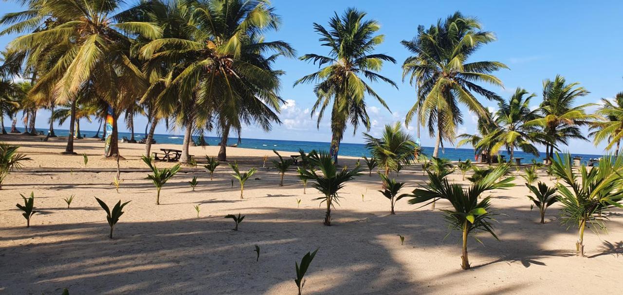 Puntacana Ecolodge Lavacama Beach Costa Arrecife By Aa Crypto Group プンタ・カナ エクステリア 写真