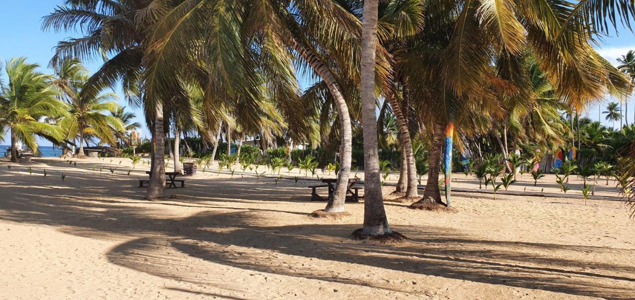 Puntacana Ecolodge Lavacama Beach Costa Arrecife By Aa Crypto Group プンタ・カナ エクステリア 写真
