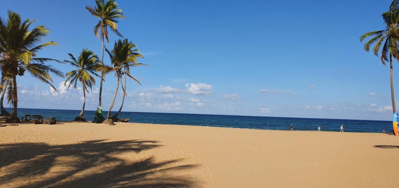Puntacana Ecolodge Lavacama Beach Costa Arrecife By Aa Crypto Group プンタ・カナ エクステリア 写真