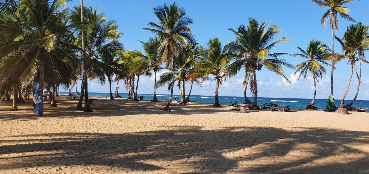 Puntacana Ecolodge Lavacama Beach Costa Arrecife By Aa Crypto Group プンタ・カナ エクステリア 写真