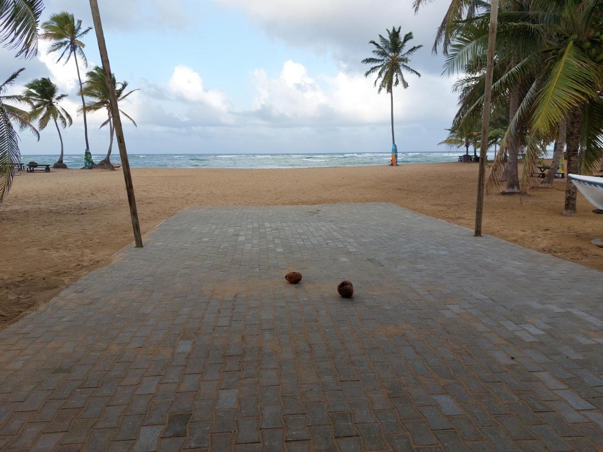 Puntacana Ecolodge Lavacama Beach Costa Arrecife By Aa Crypto Group プンタ・カナ エクステリア 写真