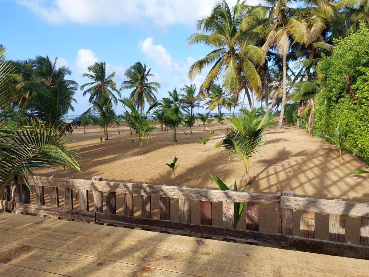 Puntacana Ecolodge Lavacama Beach Costa Arrecife By Aa Crypto Group プンタ・カナ エクステリア 写真