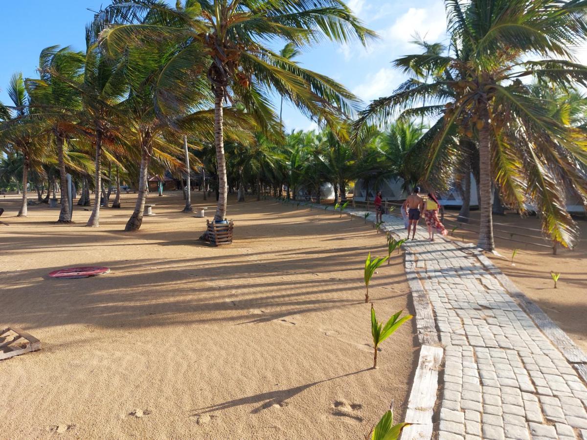 Puntacana Ecolodge Lavacama Beach Costa Arrecife By Aa Crypto Group プンタ・カナ エクステリア 写真