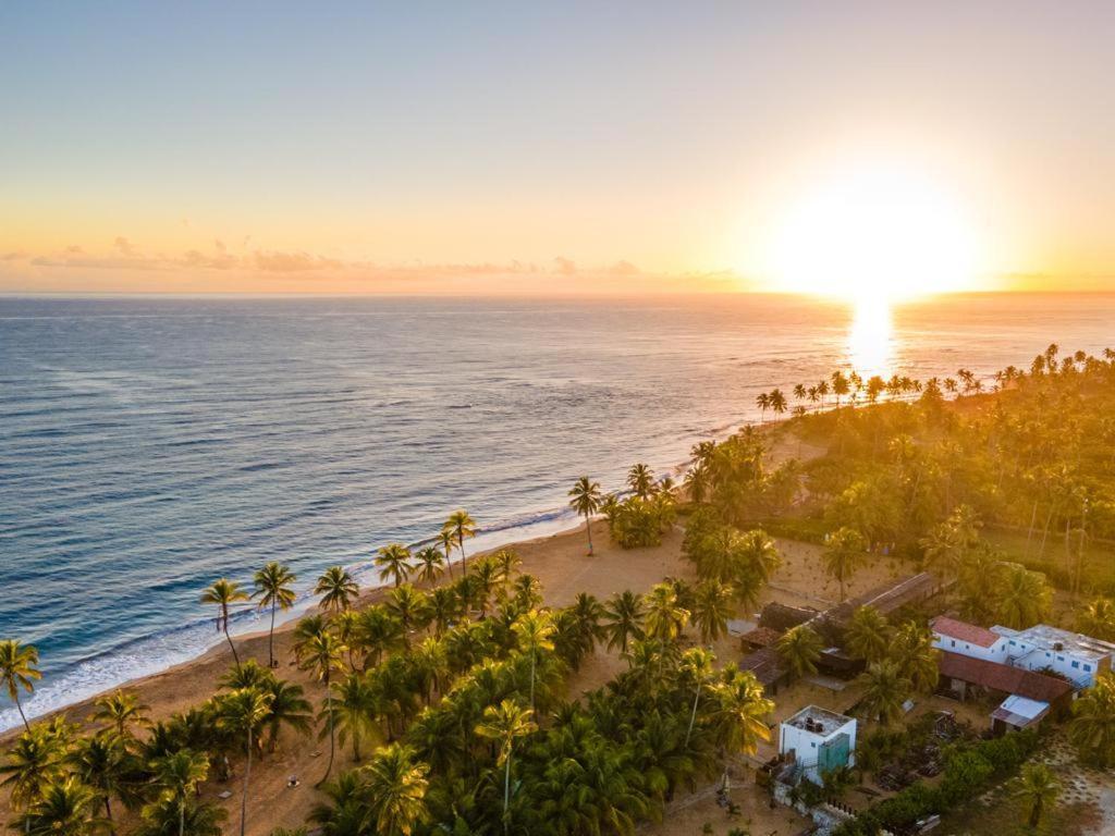 Puntacana Ecolodge Lavacama Beach Costa Arrecife By Aa Crypto Group プンタ・カナ エクステリア 写真