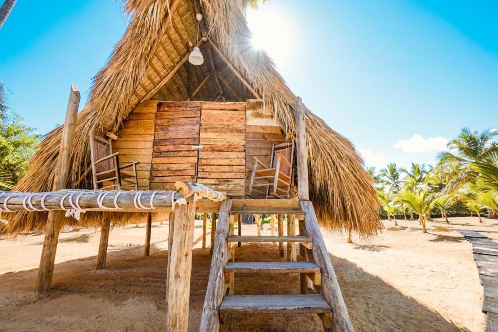 Puntacana Ecolodge Lavacama Beach Costa Arrecife By Aa Crypto Group プンタ・カナ エクステリア 写真