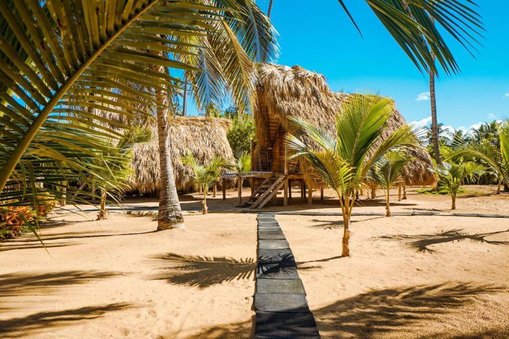 Puntacana Ecolodge Lavacama Beach Costa Arrecife By Aa Crypto Group プンタ・カナ エクステリア 写真