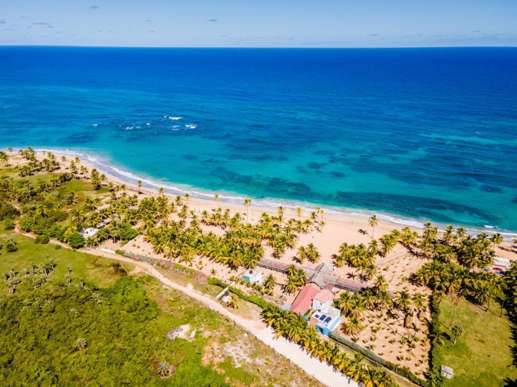 Puntacana Ecolodge Lavacama Beach Costa Arrecife By Aa Crypto Group プンタ・カナ エクステリア 写真