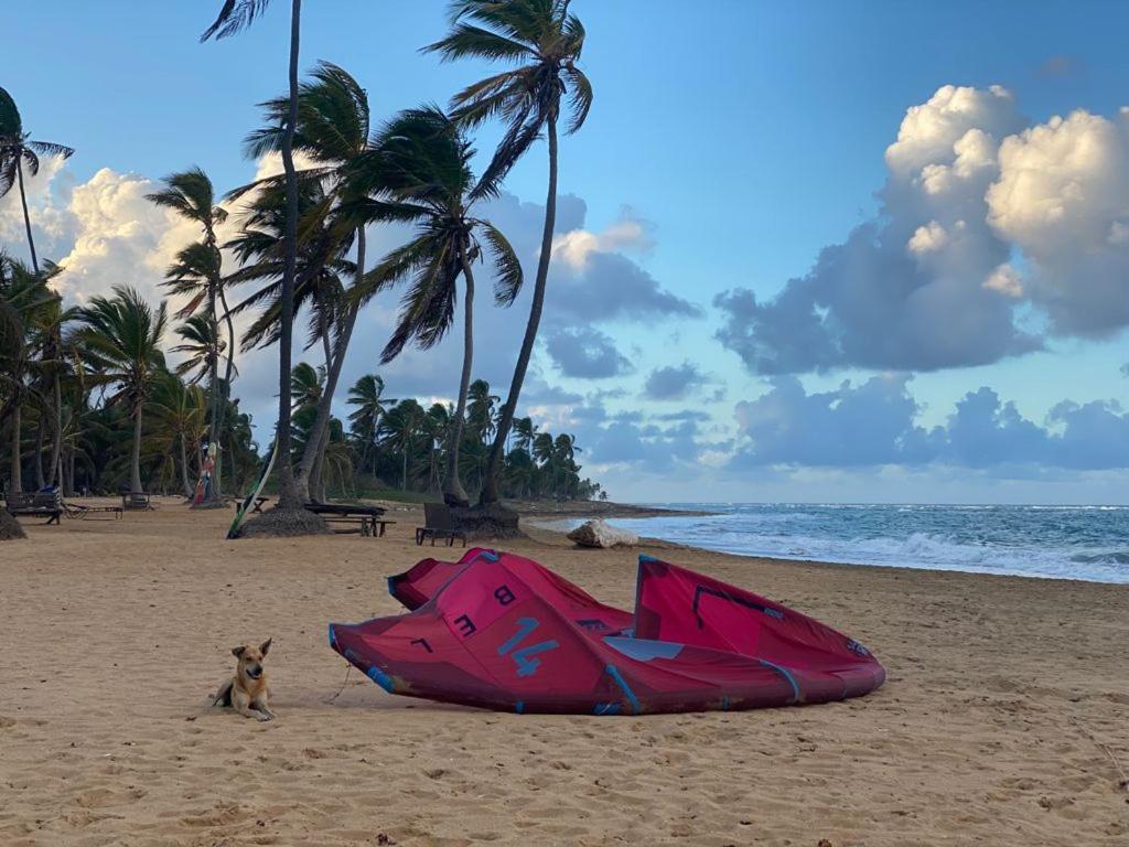 Puntacana Ecolodge Lavacama Beach Costa Arrecife By Aa Crypto Group プンタ・カナ エクステリア 写真